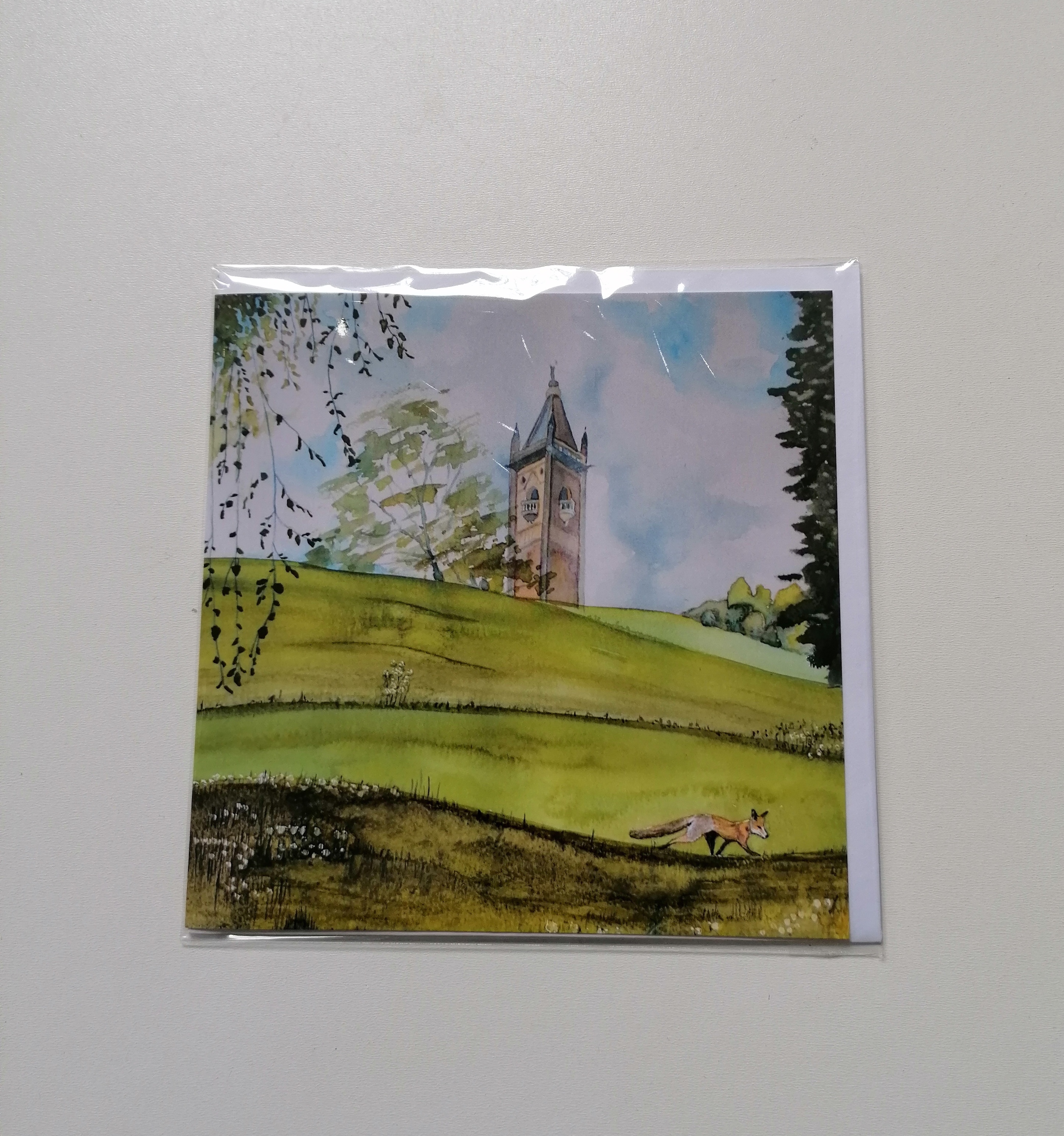 148cm x 148cm Greeting Card - Passing Fox, Brandon Hill Park, Bristol