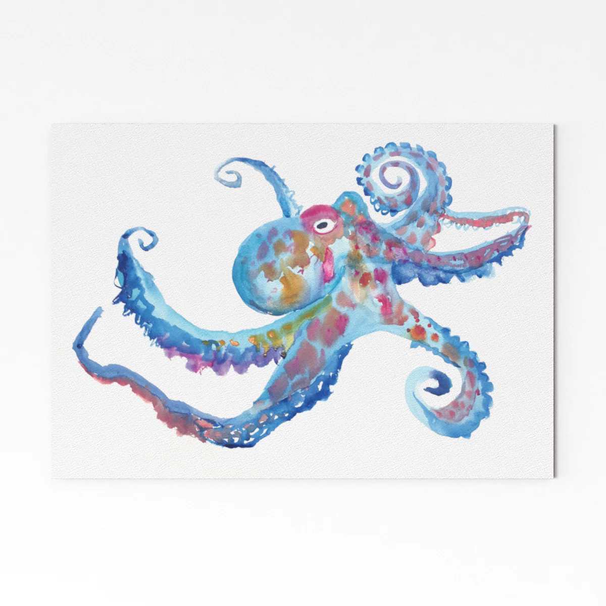 A5 Giclee Print - Octopus