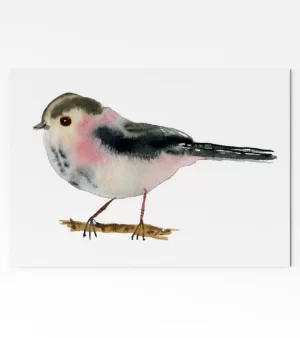 A6 Greeting Card - Long Tailed Tit (C0147)