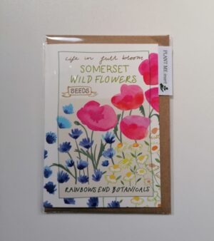 A6 Greeting Card With - Somerset Wildflowers (W31)
