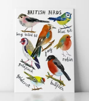 A5 Giclee Print - British Birds