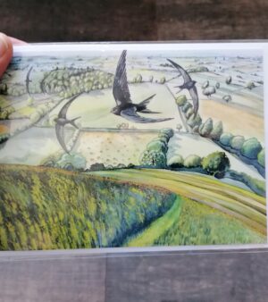 125.8mm x 175.0mm Greeting Card - Lammas, August (Glastonbury)