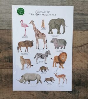 A3 Unframed Giclee Print - Animals of The African Savanna #P-ATAS-A3