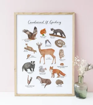 A3 Unframed Giclee Print - Woodland Creatures (Welsh) #P-CYG-A3