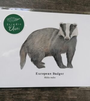 5"x 7" Print - European Badger (#P-EB-5x7)