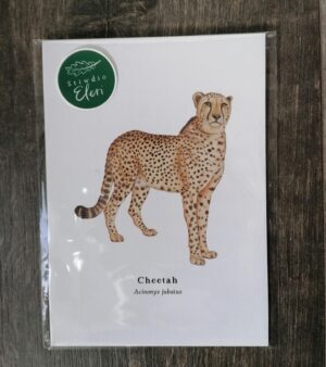 5"x 7" Print - Cheetah (#P-CH-5x7)