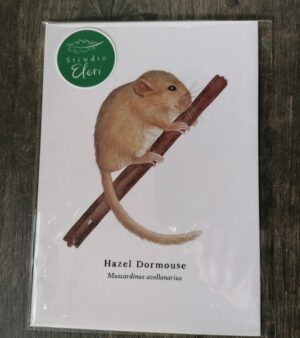 5"x 7" Print - Hazel Dormouse (#P-HD-5x7)