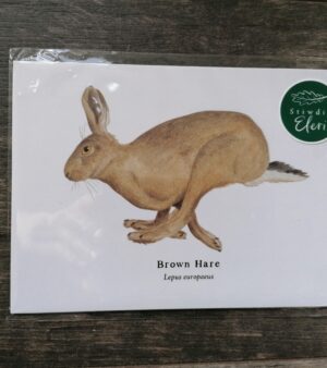 5"x 7" Print - Brown Hare (#P-BH-5x7)