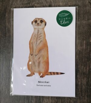 5"x 7" Print - Meerkat (#P-M-5x7)