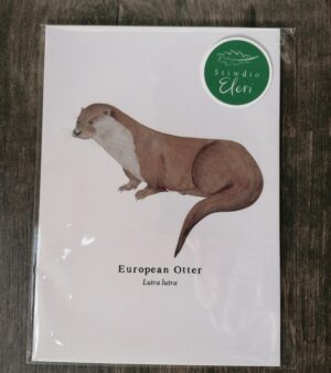 5"x 7" Print - European Otter (#P-EO-5x7)