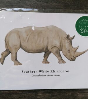 5"x 7" Print - Southern White Rhinoceros (#P-SWR-5x7)
