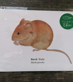 5"x 7" Print - Bank Vole (#P-BV-5x7)