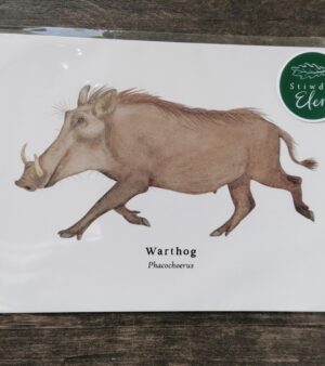 5"x 7" Print - Warthog (#P-W-5x7)