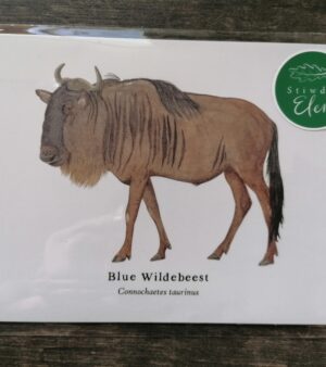 5"x 7" Print - Blue Wildebeest (#P-BW-5x7)