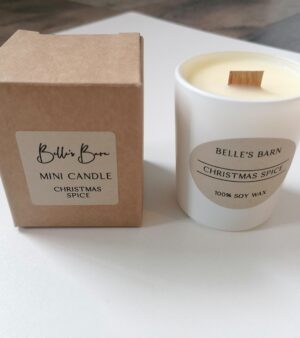 Woodwick Mini Candles - Christmas Spice (02XS)